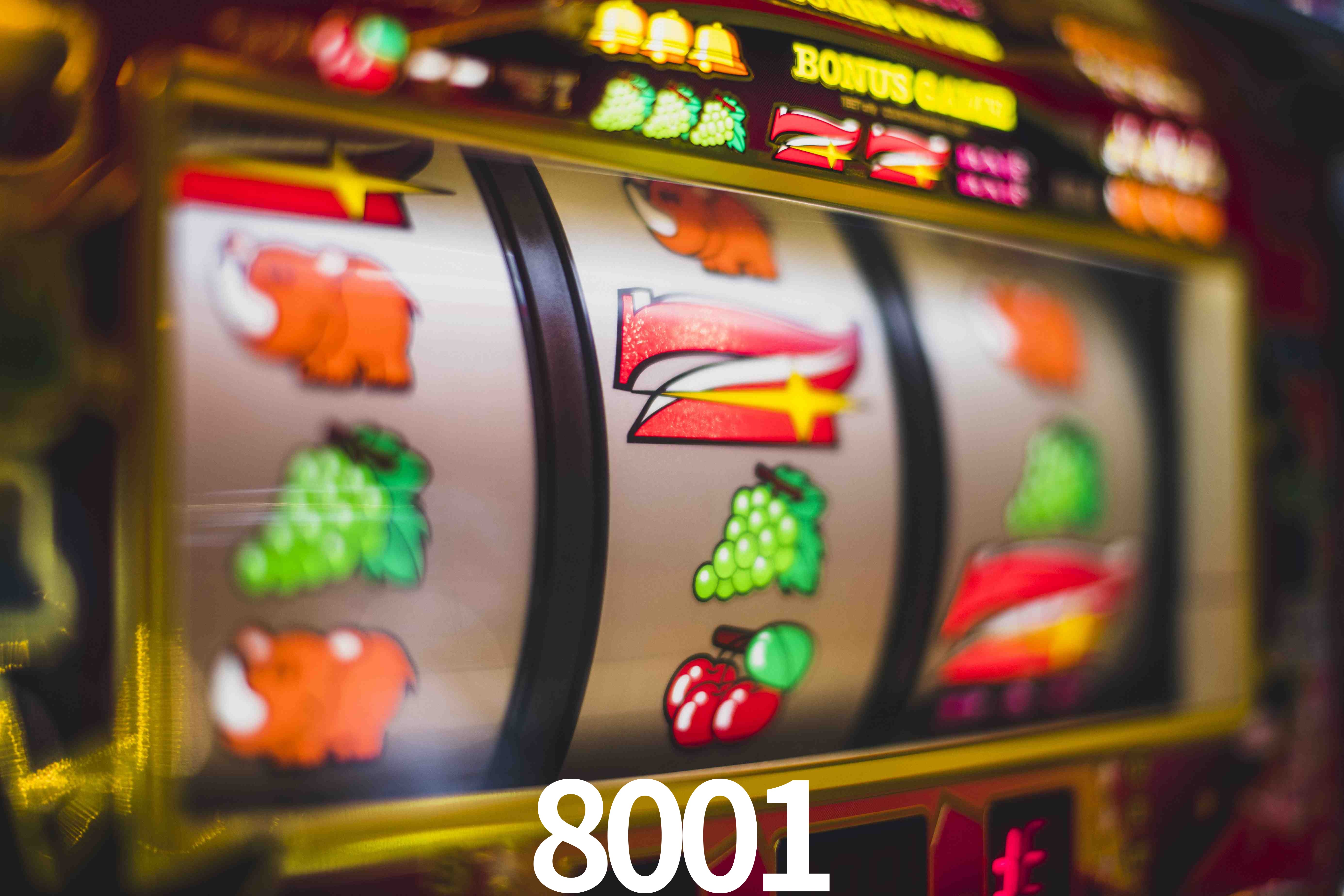 Sports Statistics 8001